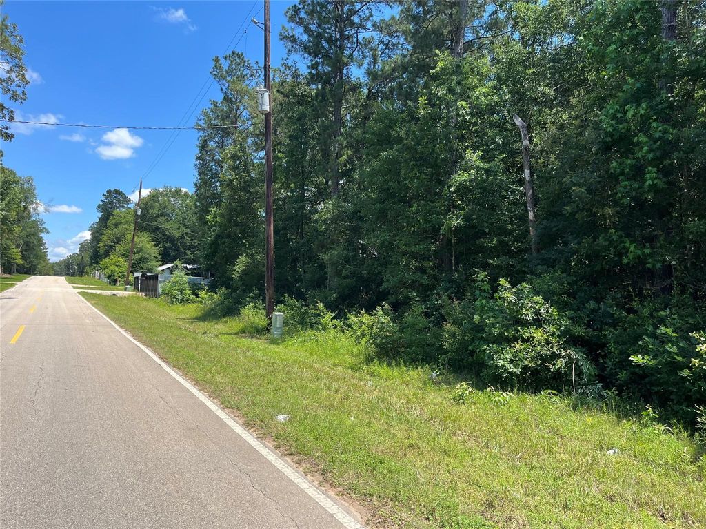 Photo of 25420 Cambridge Blvd Blvd, New Caney, TX 77357 (MLS # 62768696)