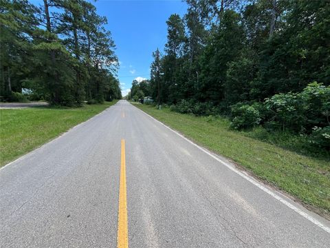 Photo of 25420 Cambridge Blvd Blvd, New Caney, TX 77357 (MLS # 62768696)