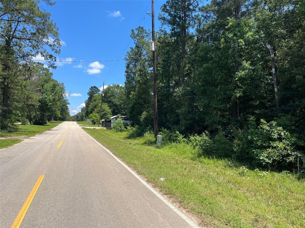 Photo of 25420 Cambridge Blvd Blvd, New Caney, TX 77357 (MLS # 62768696)