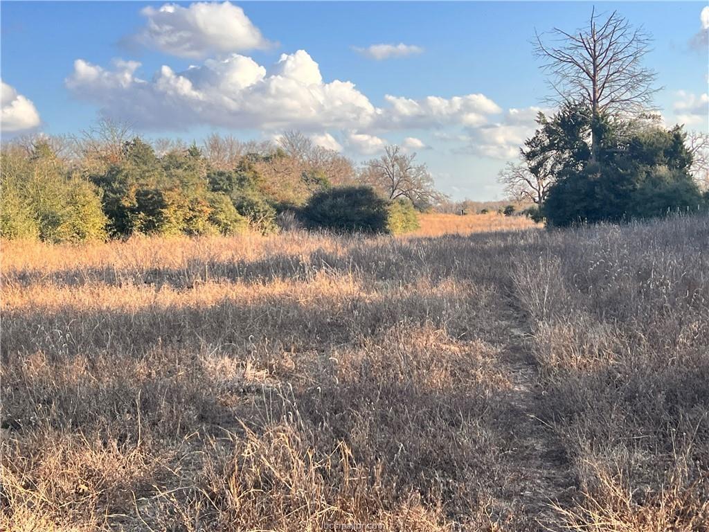 307 ACRES TBD Fm-1469