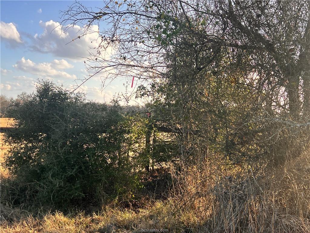 307 ACRES TBD Fm-1469