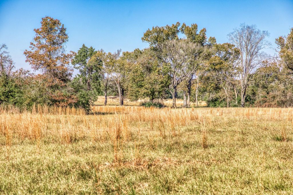 Photo of 1967 Fm 489, Oakwood, TX 75855 (MLS # 60906141)
