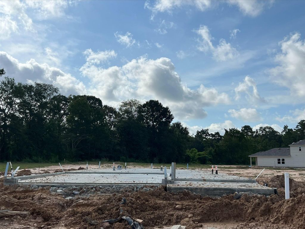 Photo of 16722 Brighter Blooms Avenue, Porter, TX 77365 (MLS # 12938748)