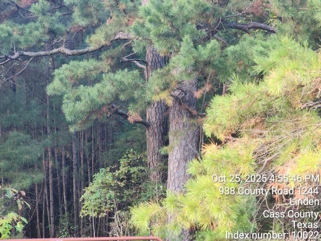 938 County Road 1244 Road