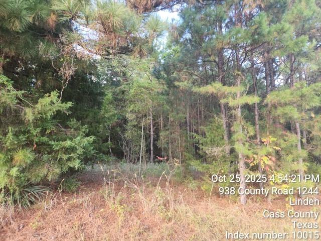 938 County Road 1244 Road