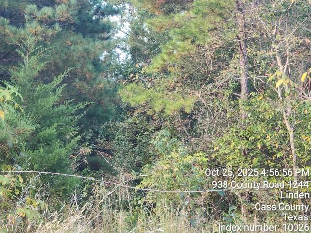 938 County Road 1244 Road