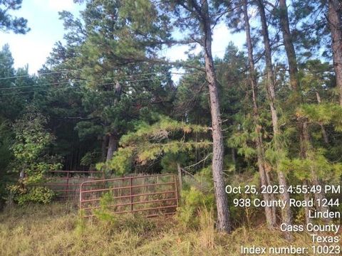 Vacant Land For Sale - 938 County Road 1244 Road<br/> Cass County, Linden, TX 75563
