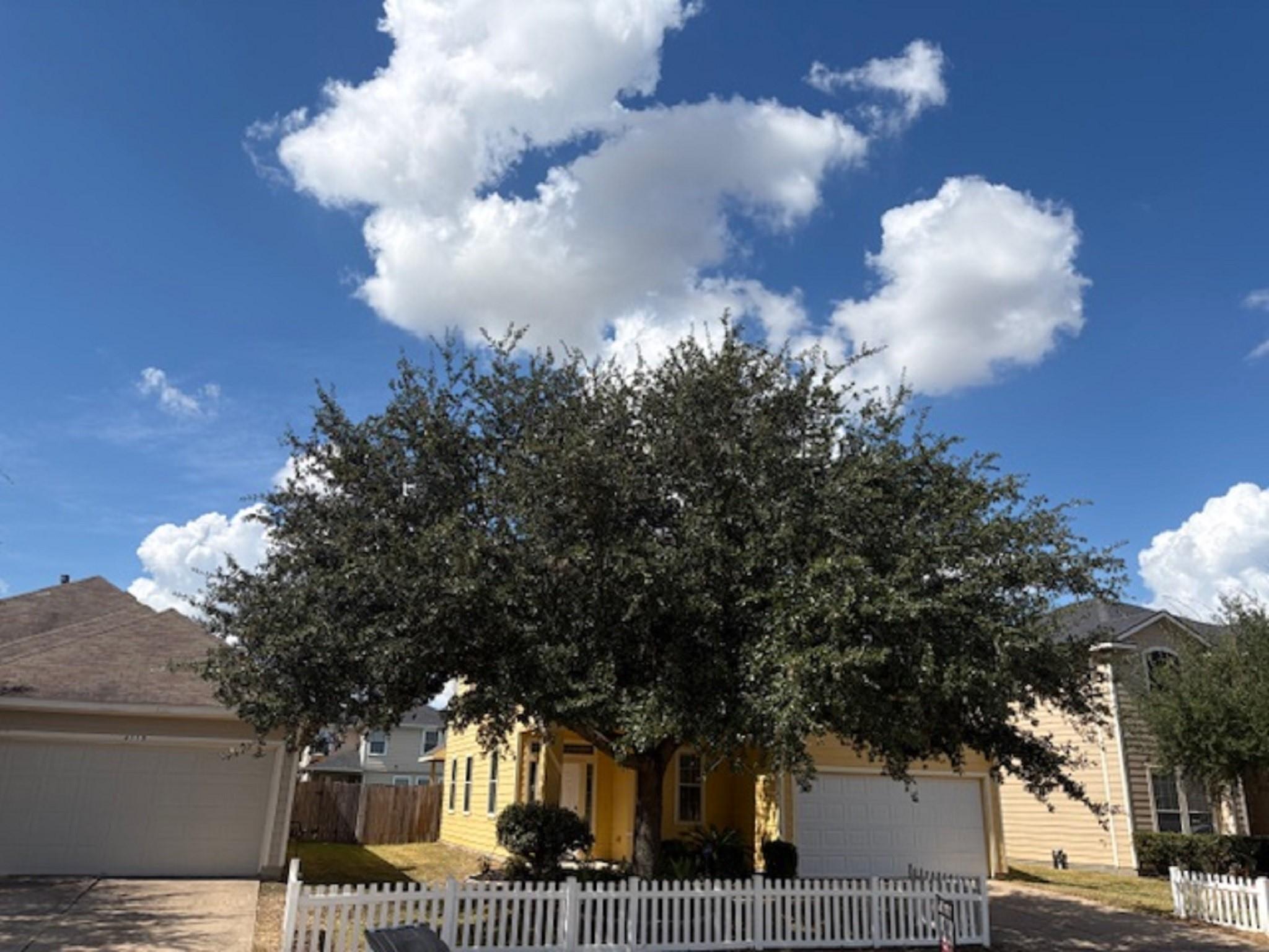 4119 Barossa Valley Lane