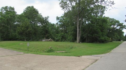 TBD Lot 23 Autumn Lane Livingston TX 77351