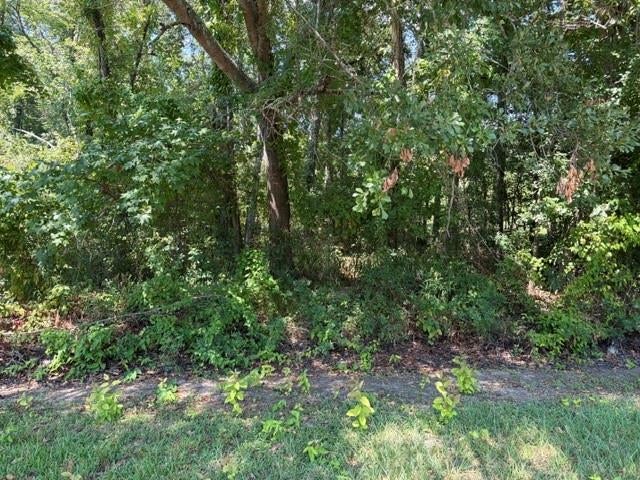 TBD Beaver Den Drive