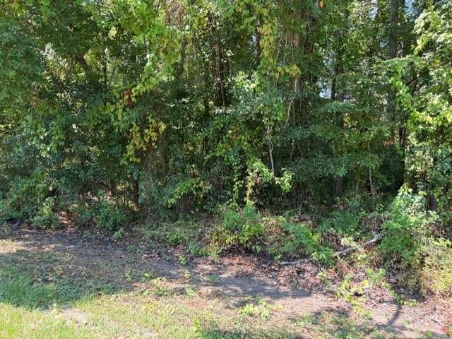 TBD Beaver Den Drive