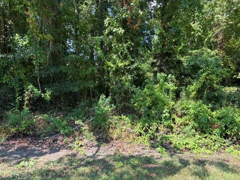 Photo of TBD Beaver Den Drive, Coldspring, TX 77331 (MLS # 42549372)