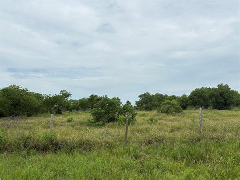 Photo of TBD Brumbelow Road, Needville, TX 77461 (MLS # 96059363)
