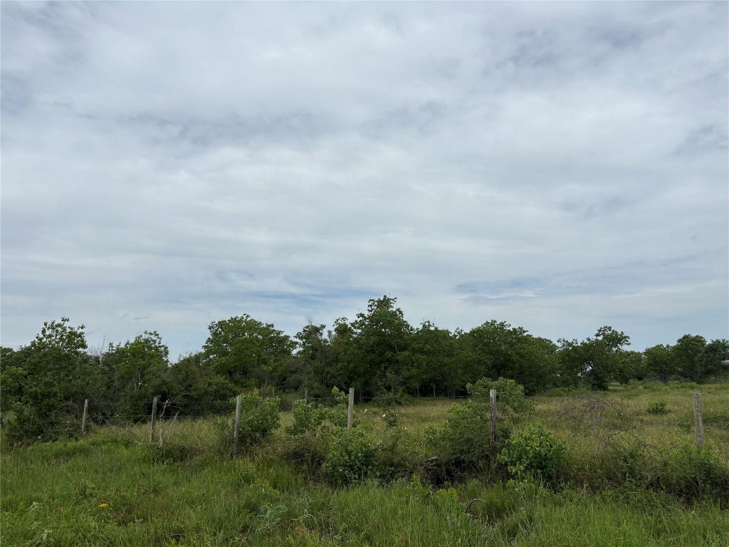 Photo of TBD Brumbelow Road, Needville, TX 77461 (MLS # 96059363)