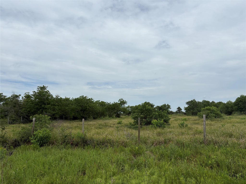 Photo of TBD Brumbelow Road, Needville, TX 77461 (MLS # 96059363)