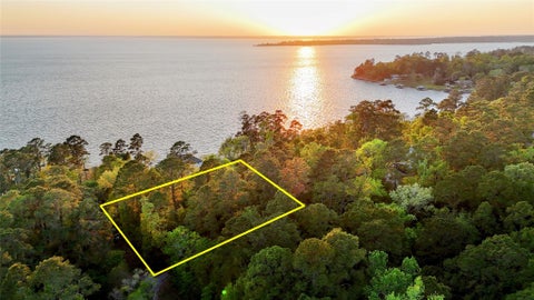 Vacant Land For Sale - 252 Forest Ridge Drive<br/> Livingston, TX 77351