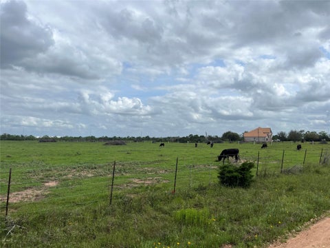 Vacant Land For Sale - TRACT 5 Kveton<br/> Colorado County, Cat Spring, TX 78933