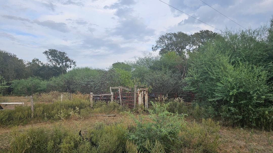 11346 E Ueckert Road