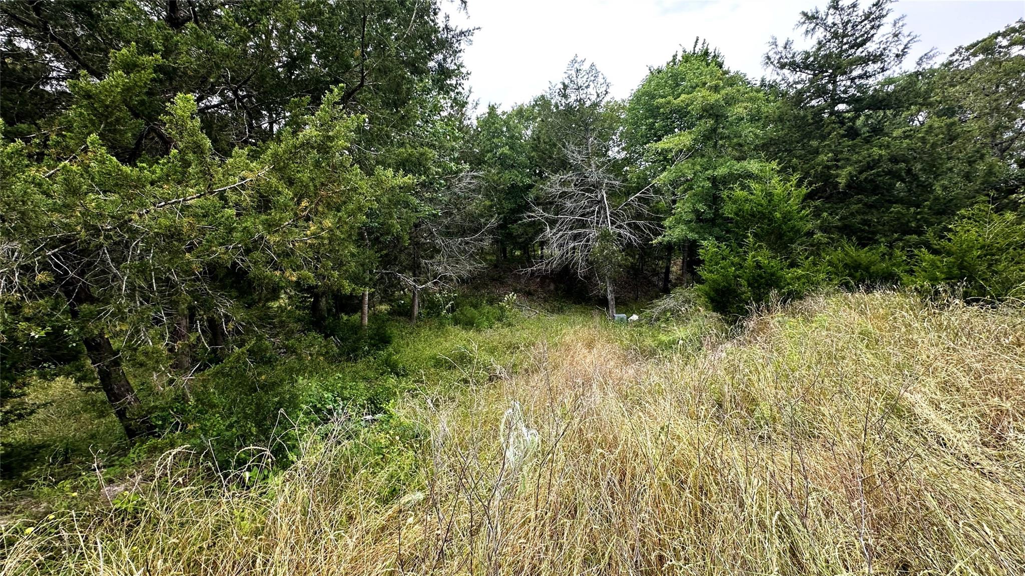 6624 Misty Lane