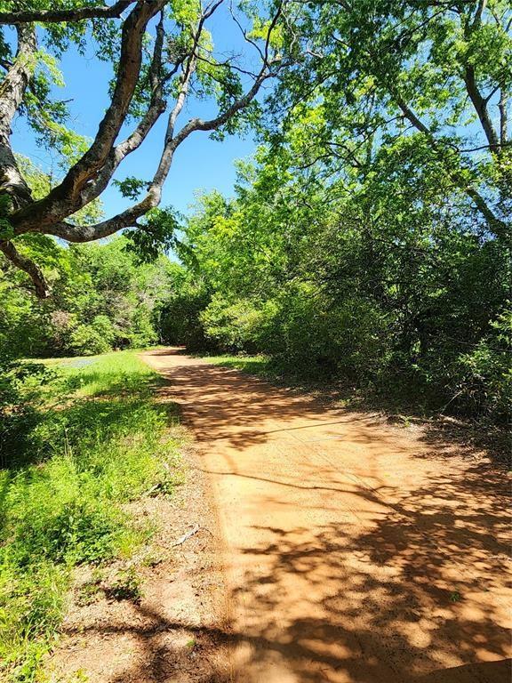 20169 County Road 445