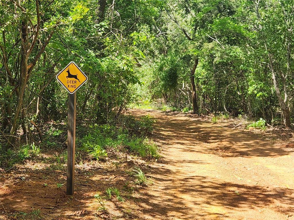 20169 County Road 445