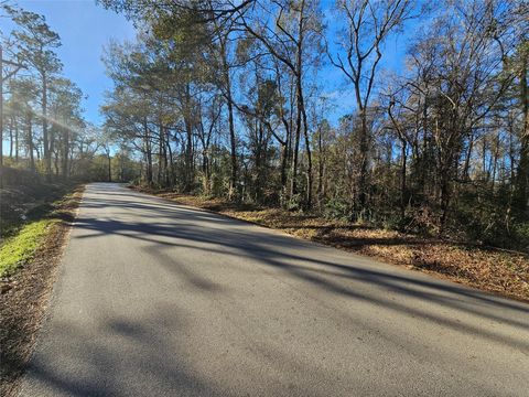 Vacant Land For Sale - LOT 1 Sherwood Drive<br/> Shepherd, TX 77371