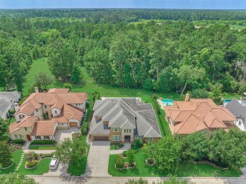 35 Pondera Point Drive The Woodlands TX 77375