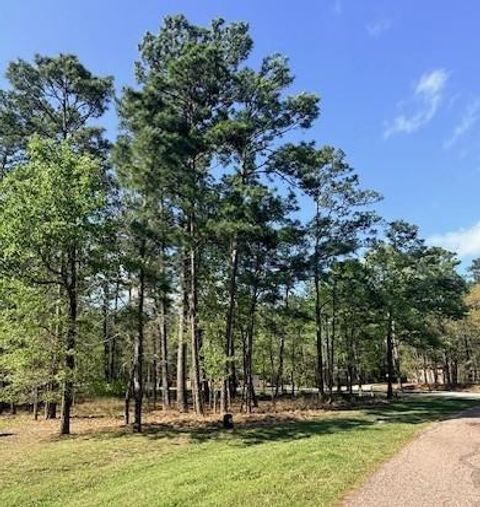 Vacant Land For Sale - 141 Wentworth Lane<br/> San Jacinto County, Coldspring, TX 77331