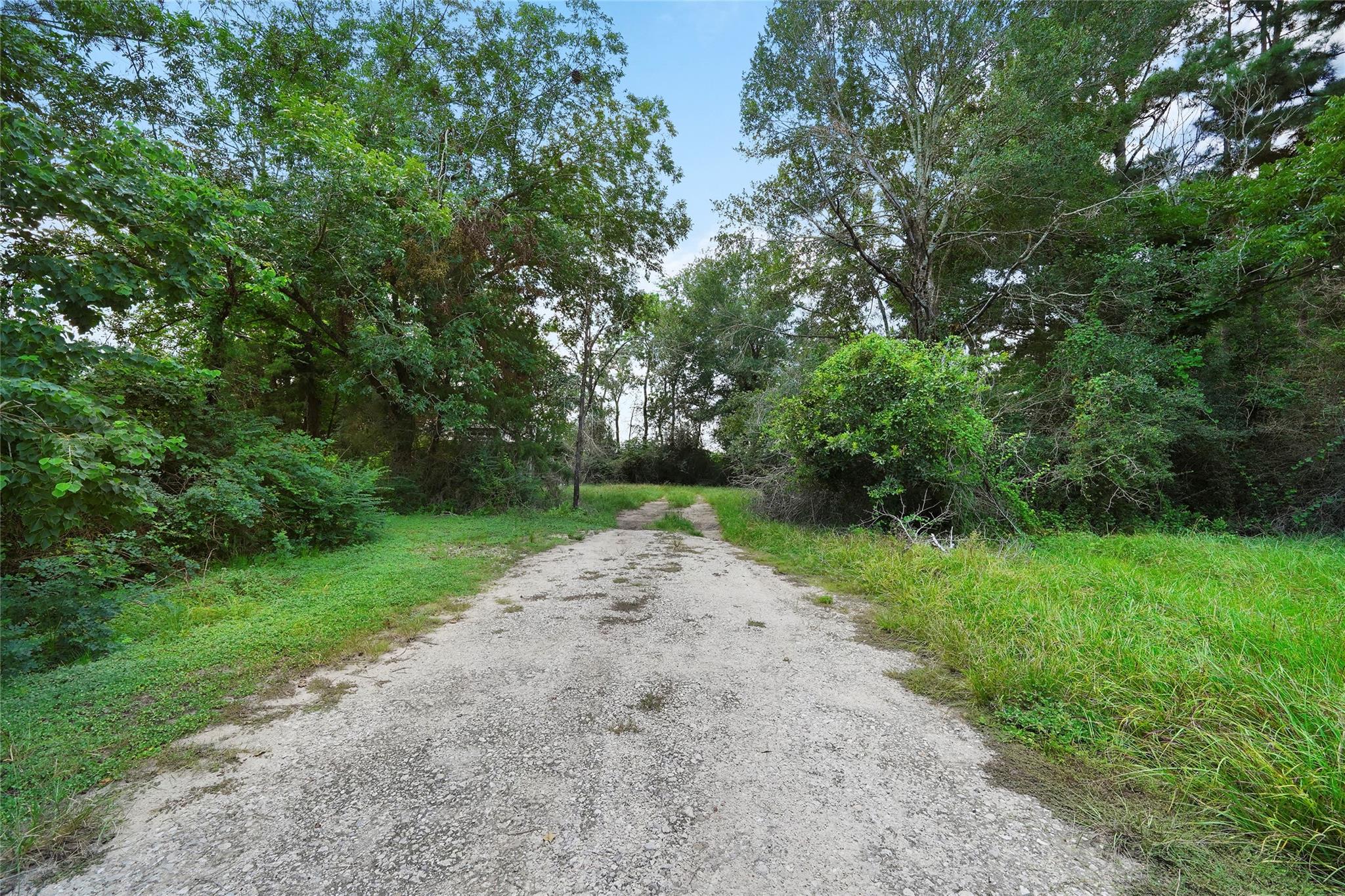 22111 Loblolly Drive