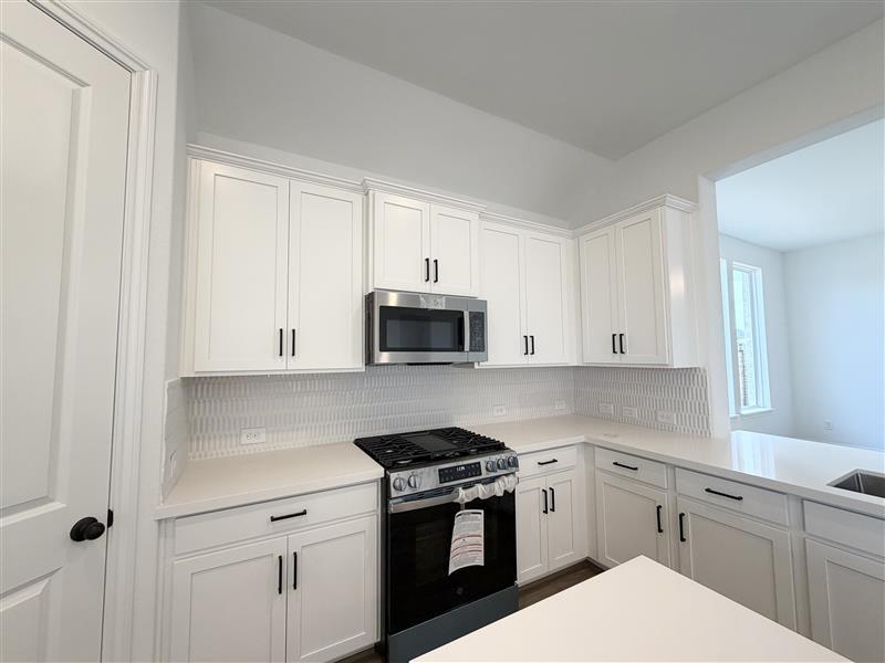 17611 Lavendar Blossom Lane