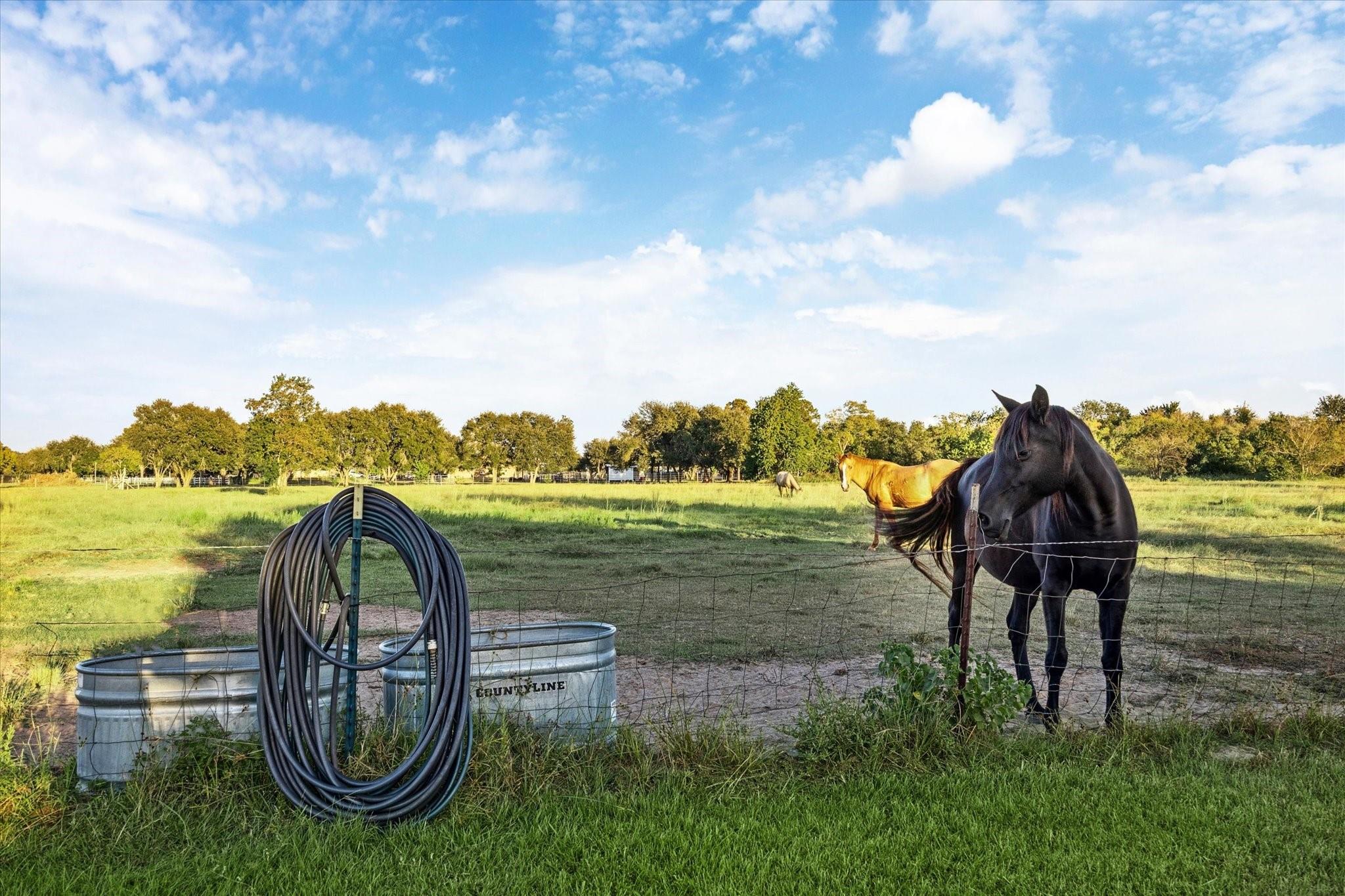 8850 Katy Hockley Road