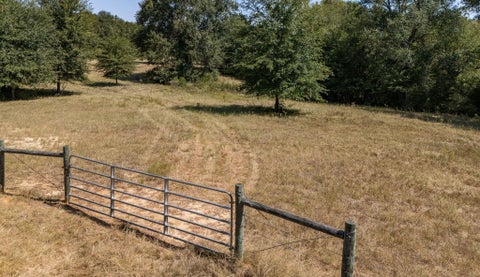 Photo of TBD County Road 320, Centerville, TX 75833 (MLS # 12149488)