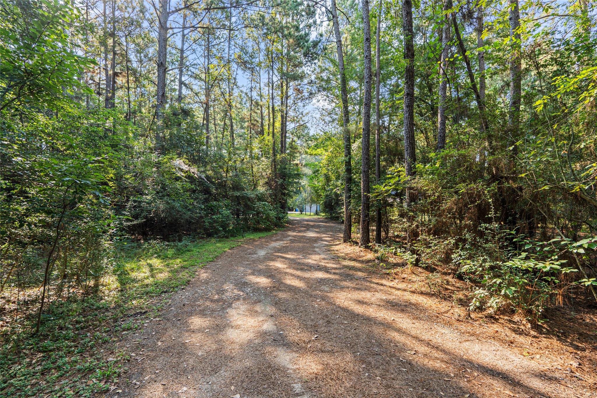 32770 Willow Bend Lane