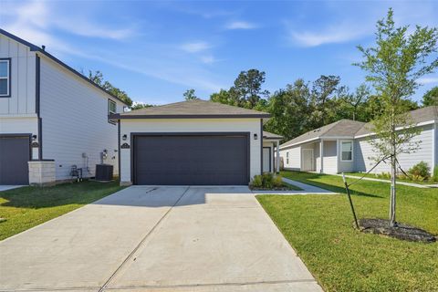 Photo of 16994 Pandora Way Way, Porter, TX 77365 (MLS # 69312510)