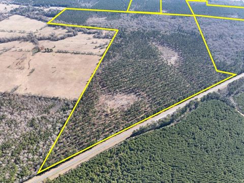 Vacant Land For Sale - T-6 Highway 287<br/> Pennington, TX 75845