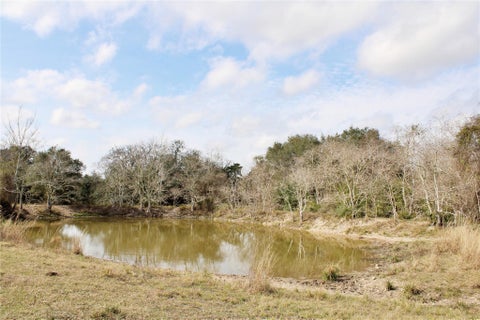 Photo of 7 Lobo Lane, Columbus, TX 78934 (MLS # 10725376)