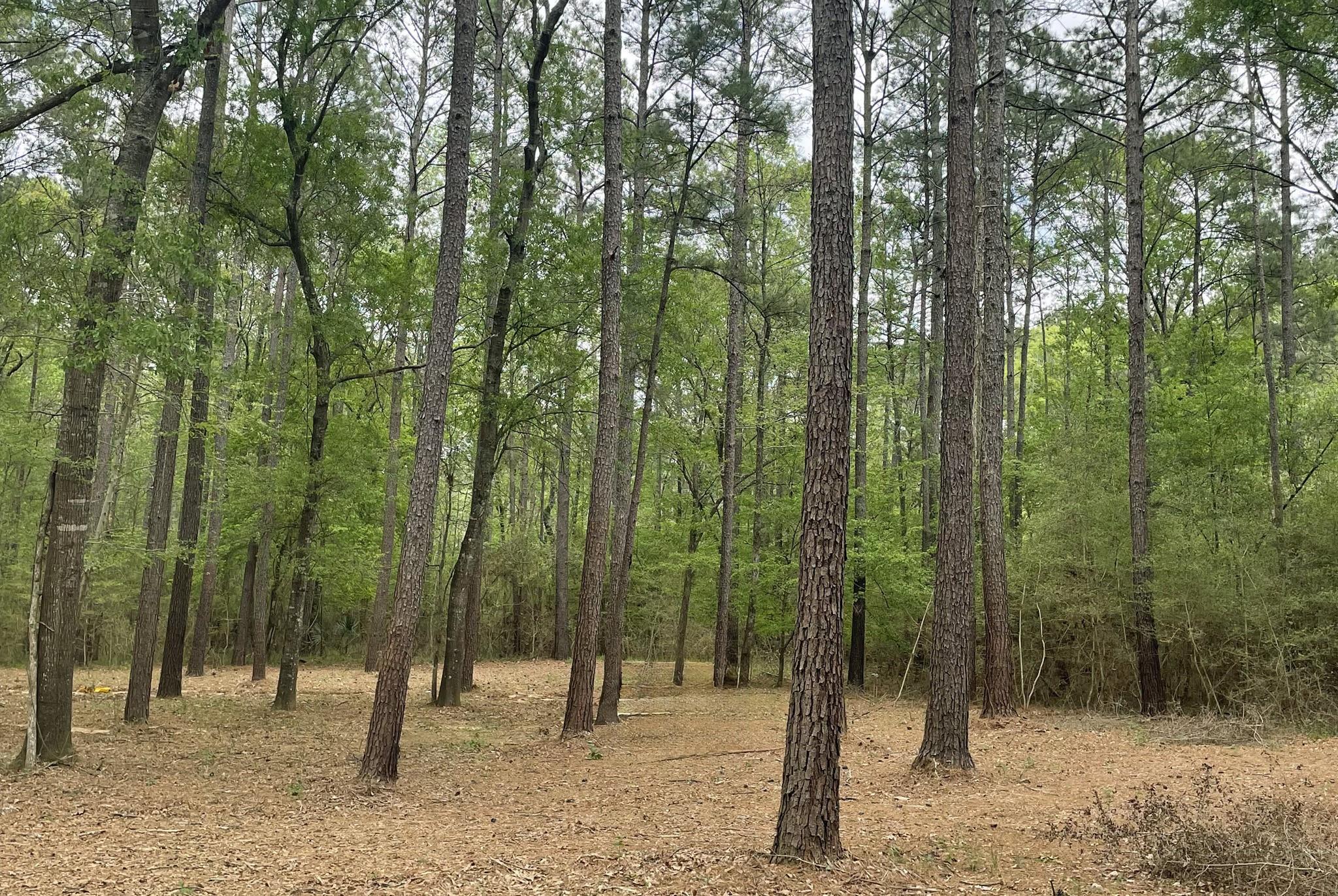 Lot 2&3 Remington Road