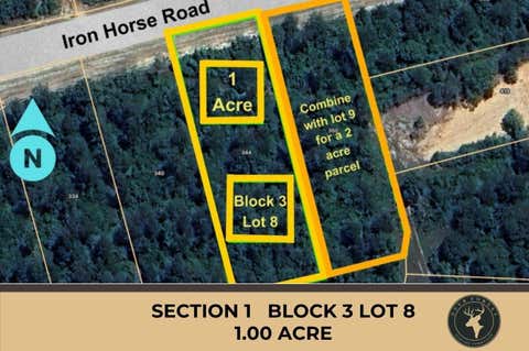 Photo of 344 Iron Horse Road, Willis, TX 77378 (MLS # 59040035)