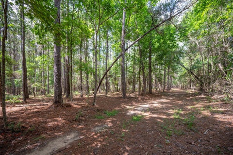 Photo of tbd Tile Plant Road, Woodville, TX 75979 (MLS # 30124292)