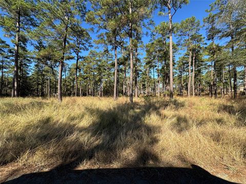 Photo of 65 Private Road 6026, Brookeland, TX 75931 (MLS # 41042459)
