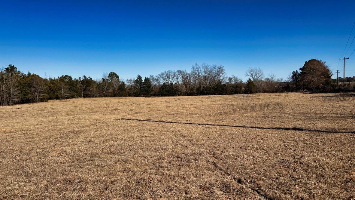 TBD #2 County Road 477