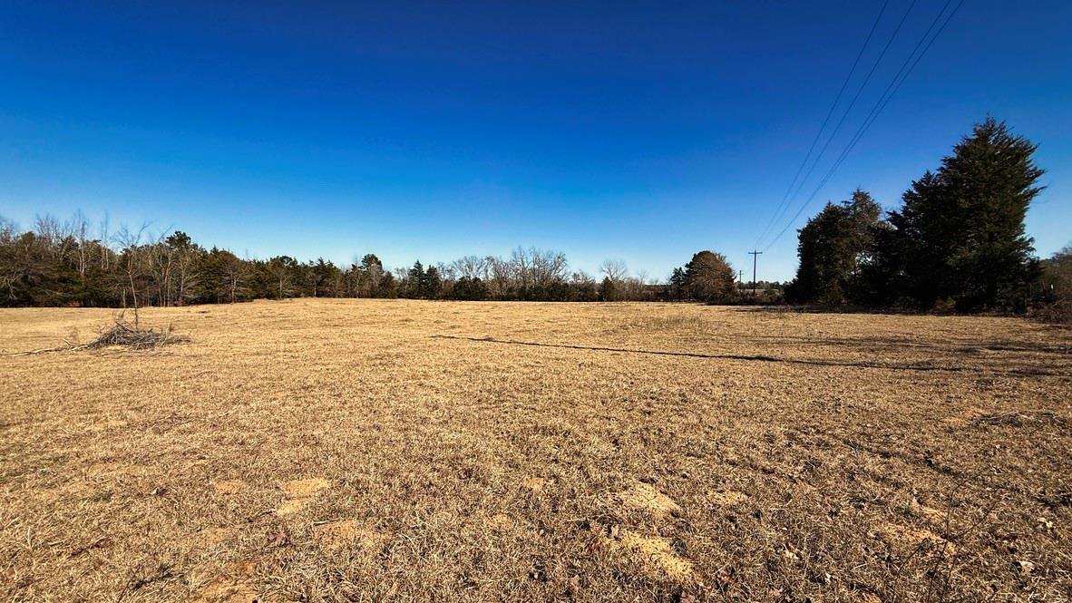 TBD #2 County Road 477