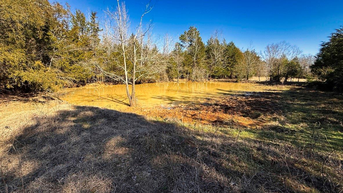 TBD #2 County Road 477