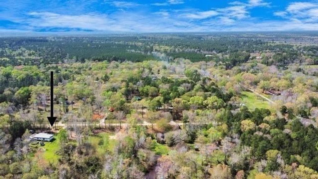 Photo of 111 Bonnie Creek Drive, Coldspring, TX 77331 (MLS # 69799671)