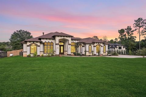 19318 Desna Court Porter TX 77365
