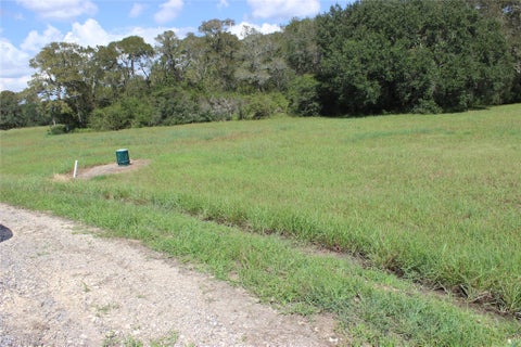 Photo of 226 River Tree Drive, Blessing, TX 77419 (MLS # 94921293)