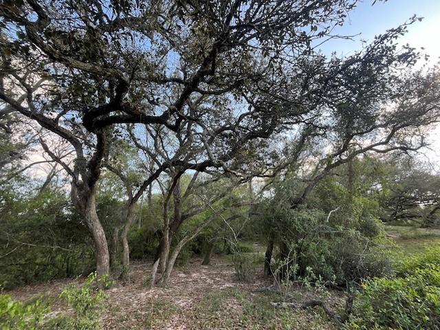 1600 County Road 121