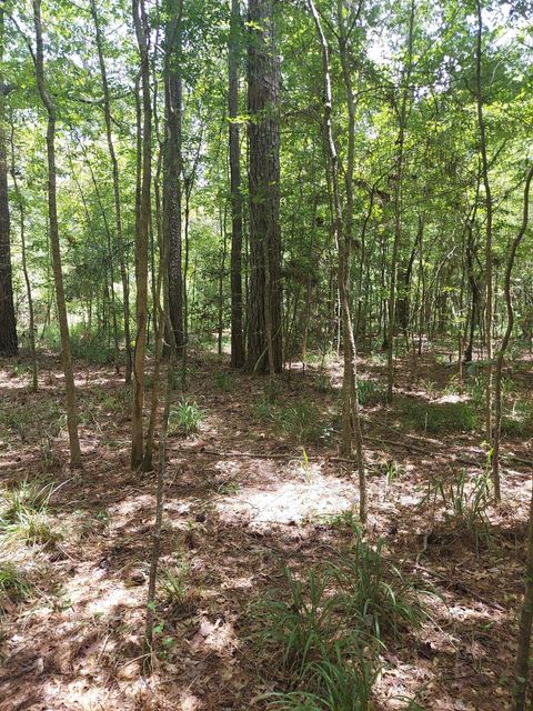 Vacant Land For Sale - 306 Deason Circle<br/> Colmesneil, TX 75938