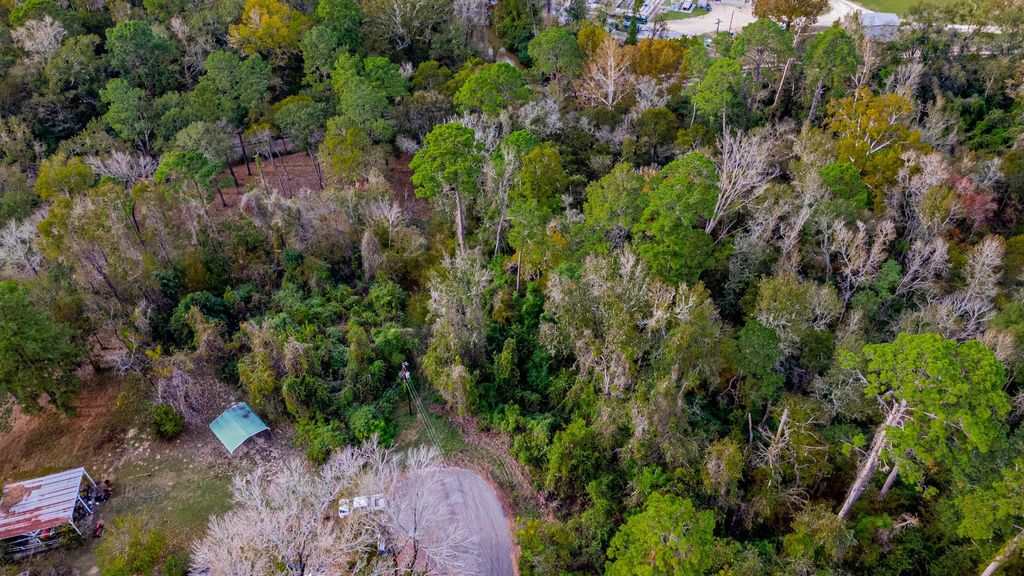 Photo of 53 Cardinal Drive, Livingston, TX 77351 (MLS # 66678707)