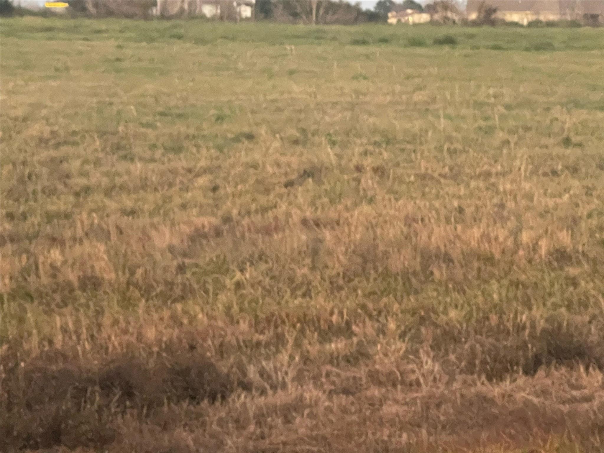714 Chuckwagon Trail